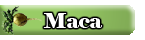 Maca Supplement