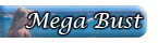Mega Bust Supplement